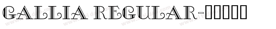 Gallia Regular字体转换